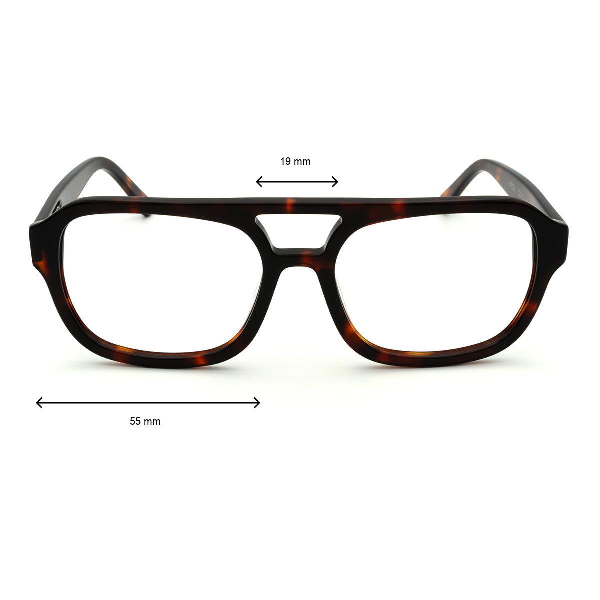 Pascal - Dark Tortoise